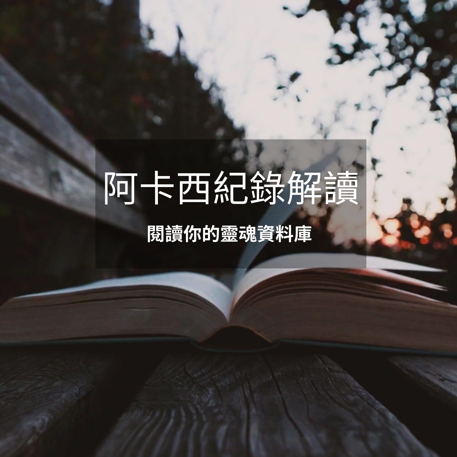 阿卡西解讀 - 面對面